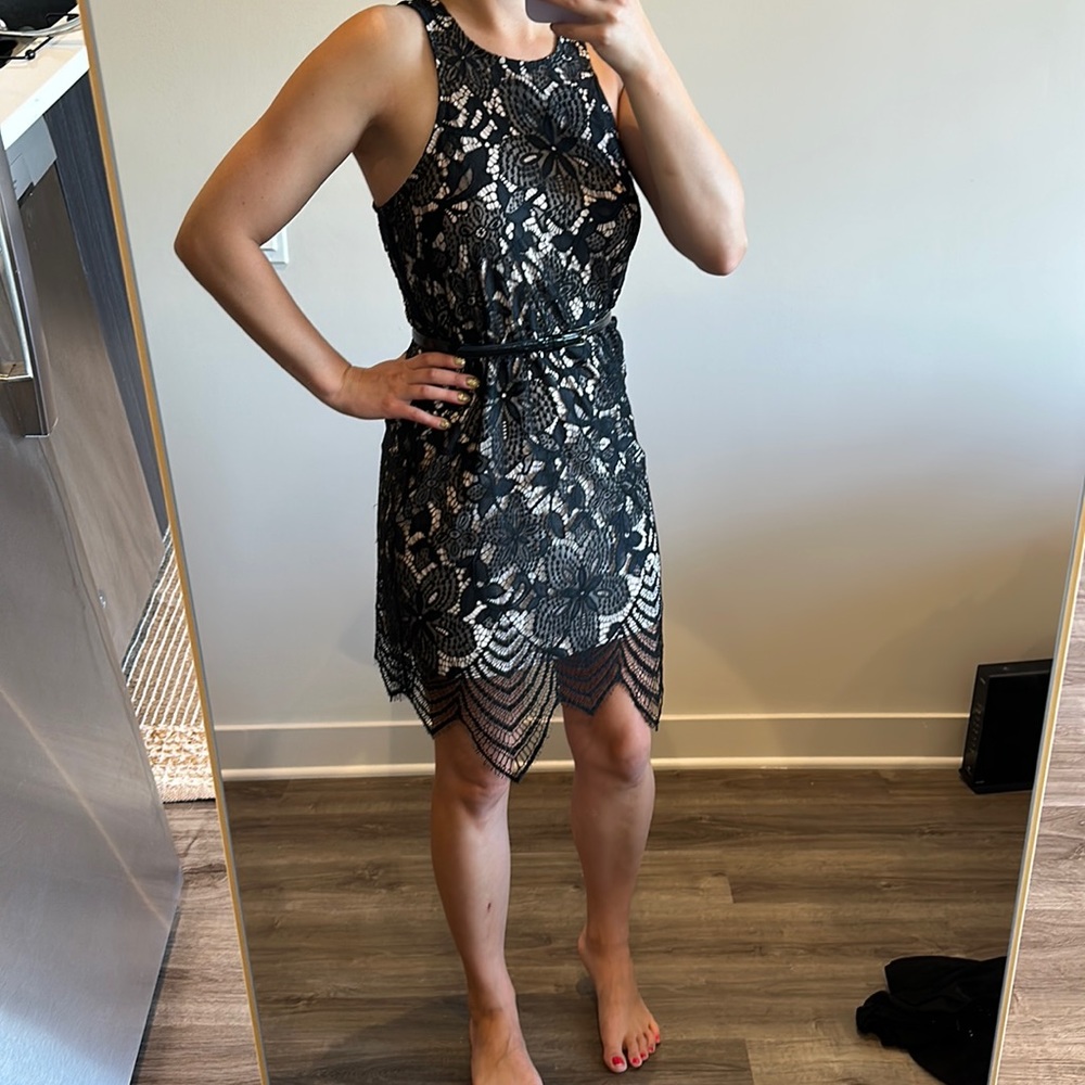 Express Lace Dress